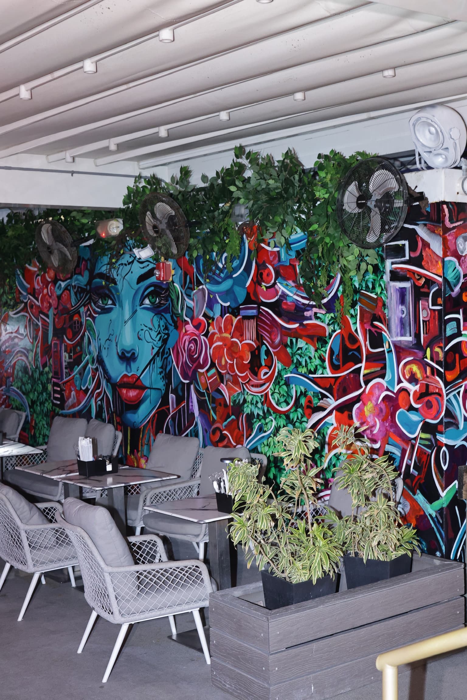 Live show on the Carnaval rooftop